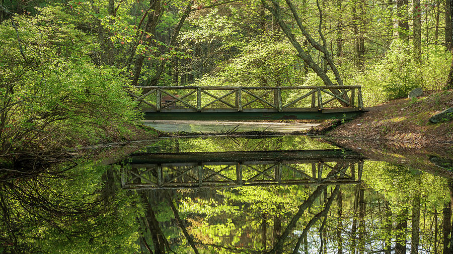 Footbridge Over A Still Pond Photograph