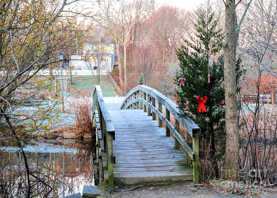 Christmas Photograph - Footbridge over Jenney Pond 120522 by Janice Drew