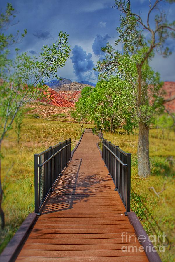 Footbridge To a Dream  Photograph by Rodney Lee Williams