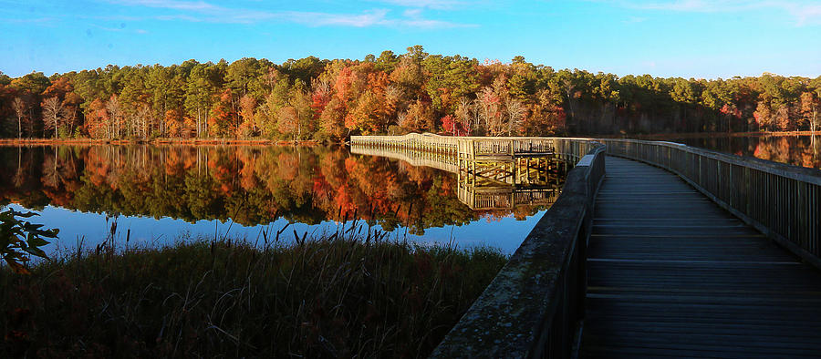 Footbridge to Autumn Splendor in Newport News Park  Photograph by Ola Allen