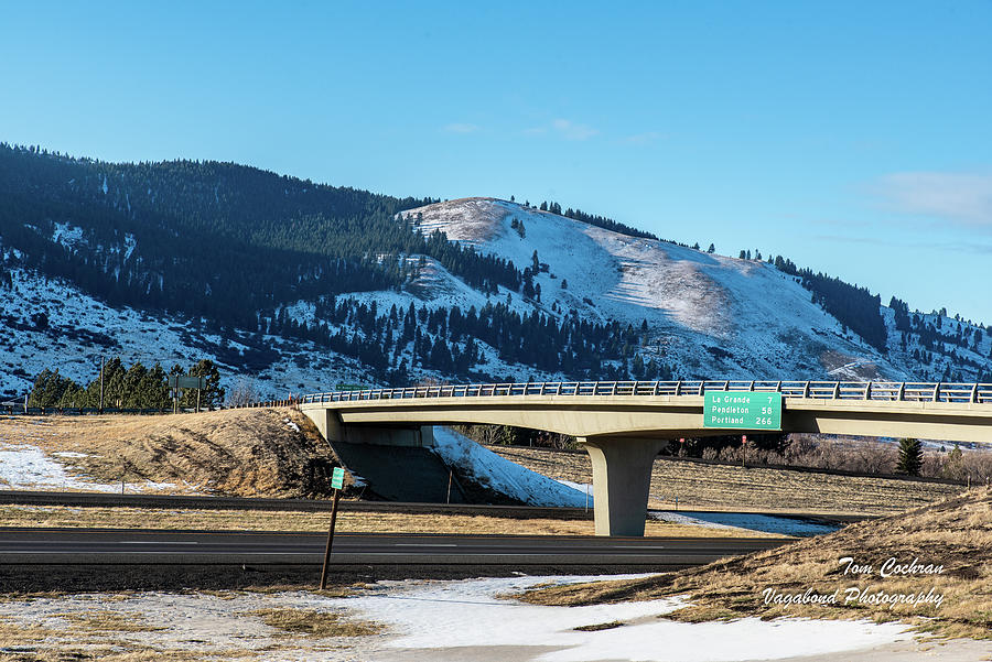 Foothill Road Crosses the Oregon Trail Photograph by Tom Cochran