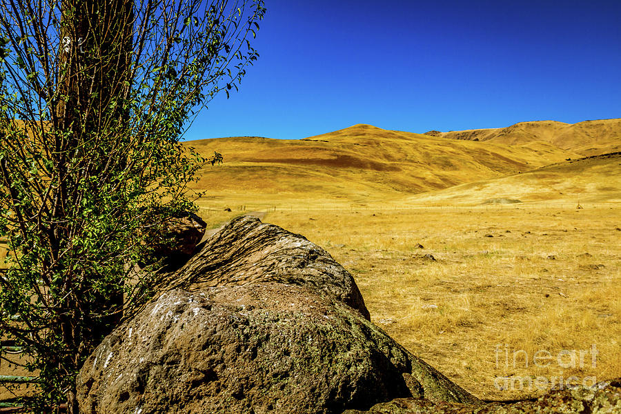 Foothill View Photograph by Robert Bales - Pixels