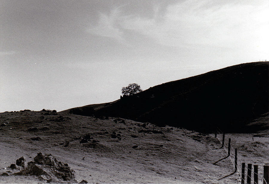 Foothills 1981 Photograph by Eric Forster