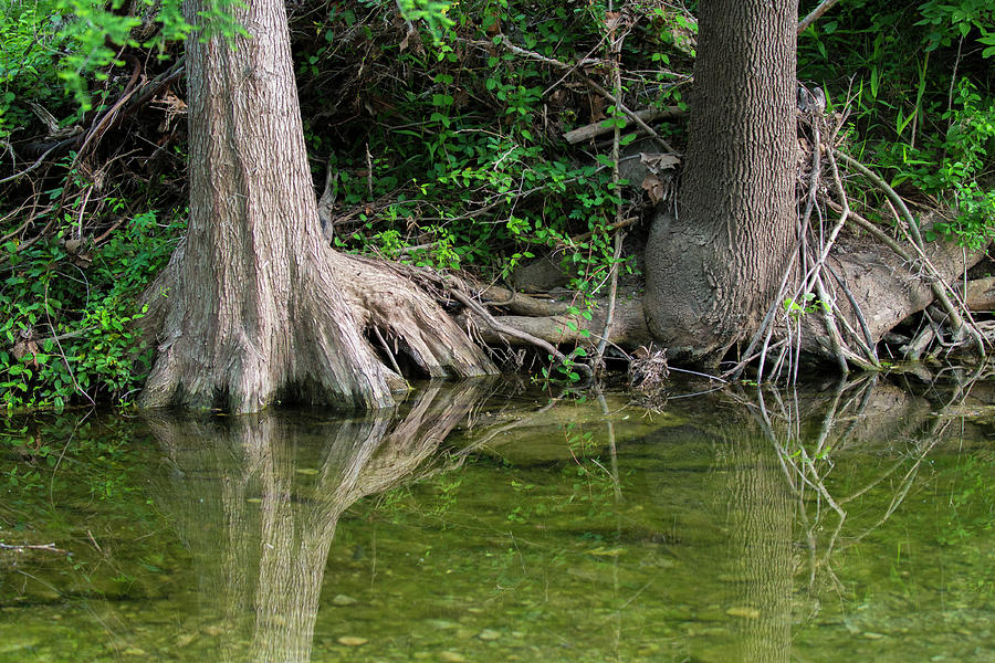 Foothold Creek Photograph by Doug LaRue