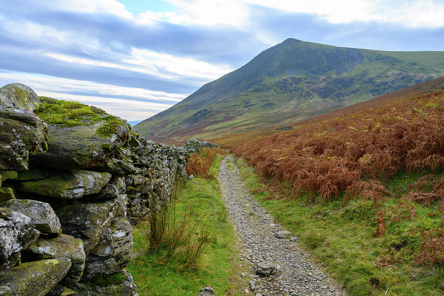 Footpath by Drystone Wall Photograph by Roy Pedersen