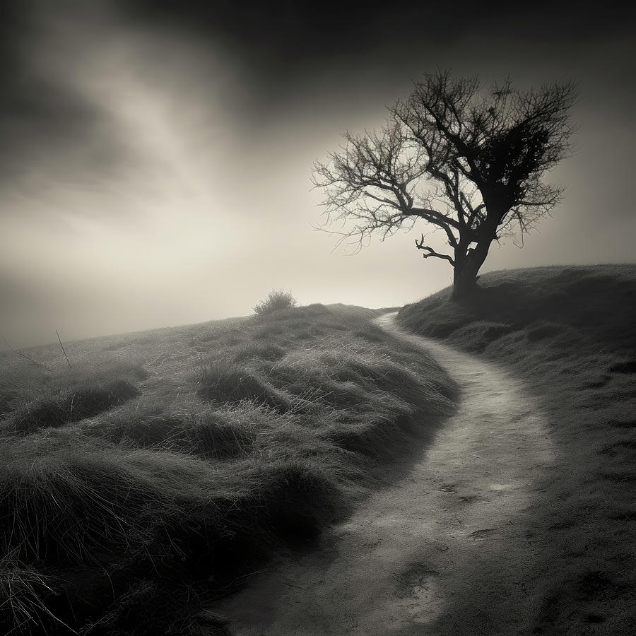 Footpath by Old Dead Tree on Hillside Digital Art by YoPedro