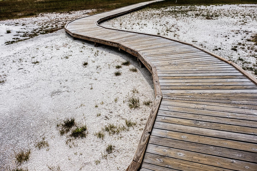 Footpath in Yellowstone Photograph by Alberto Zanoni