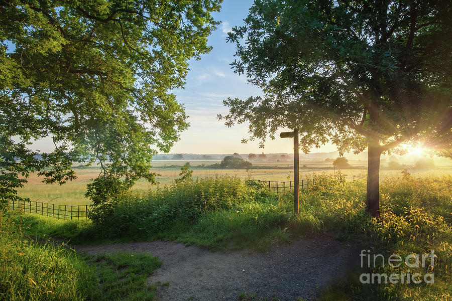 Footpath sign in rural sunrise landscape Norfolk Photograph by Simon Bratt