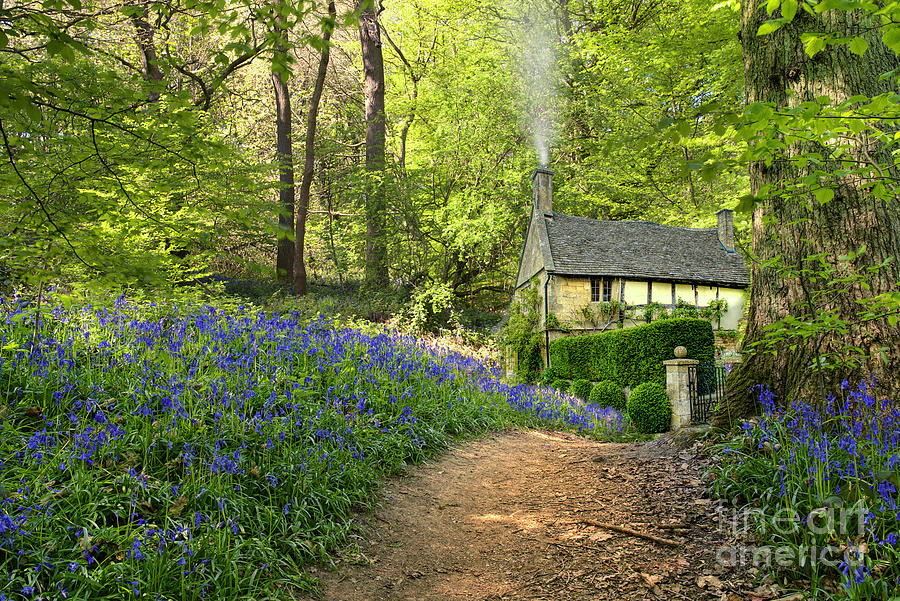 Footpath To Bluebell Cottage Photograph by Alison Chambers | Pixels