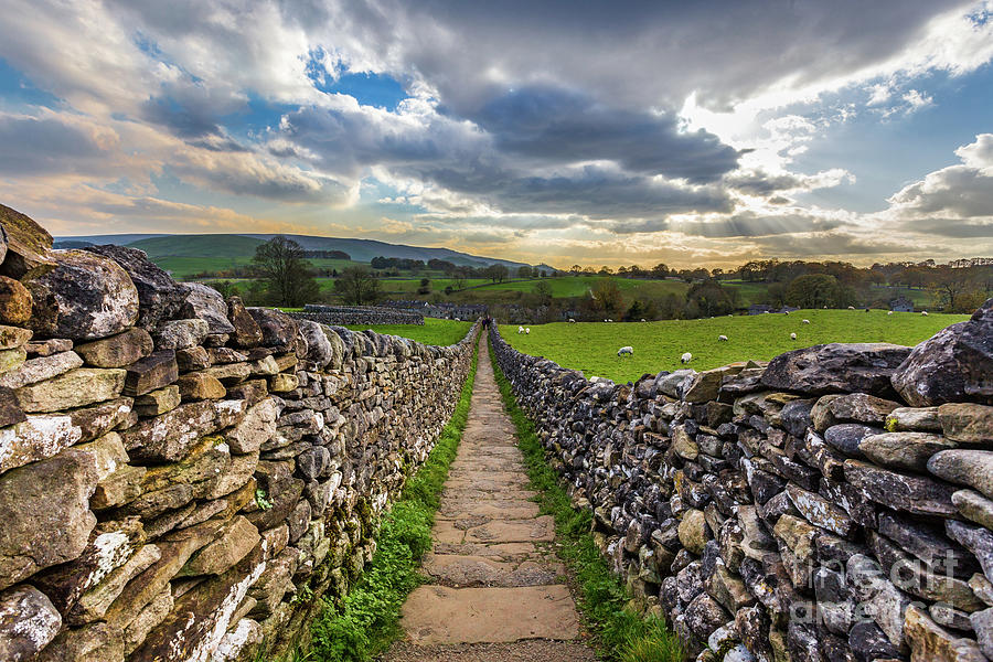 Footpath To The Falls, Grassington Photograph by Tom Holmes Photography