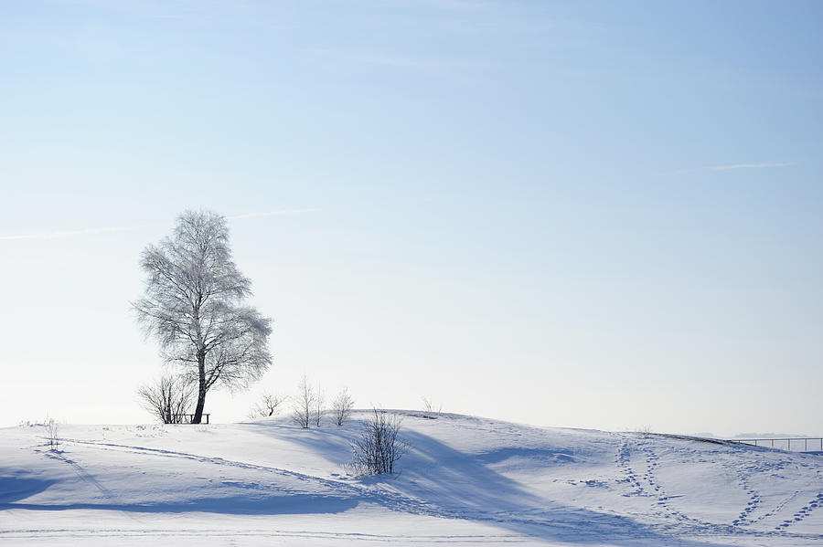 Footprint in snow Photograph by Vilhelm Sjostrom