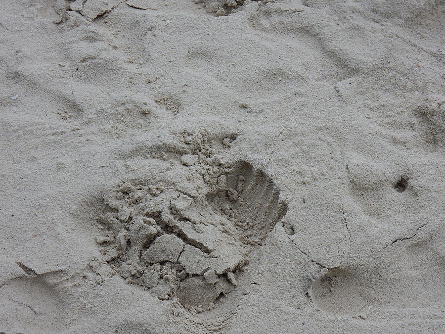Footprint on sand Photograph by Putra Kurniawan / FOAP