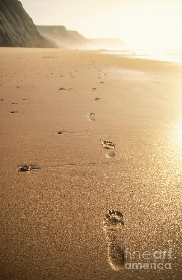 Algarve solitude - Footprints in the beach sand Photograph by Neale And Judith Clark