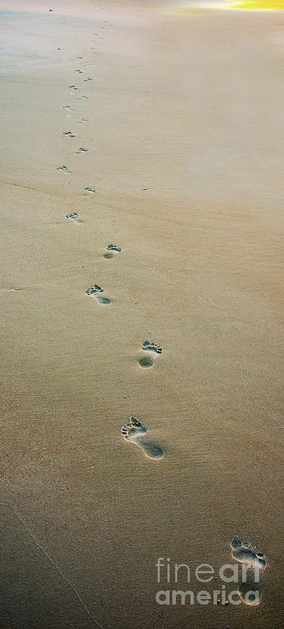 Footprints in the Sand 1286 Photograph by Jack Schultz