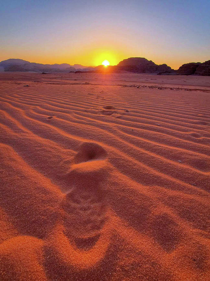 Footprints in the Sand Photograph by Andrea Whitaker