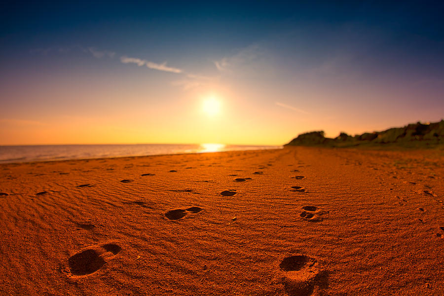 Footprints in the sand Photograph by by Kim Schandorff