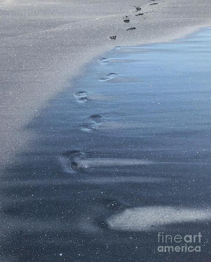 Footprints in the Sand Photograph by Diana Rajala