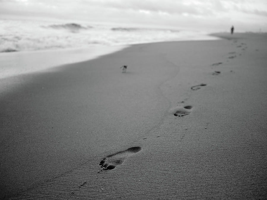 Footprints In The Sand Photograph by Doug Ash