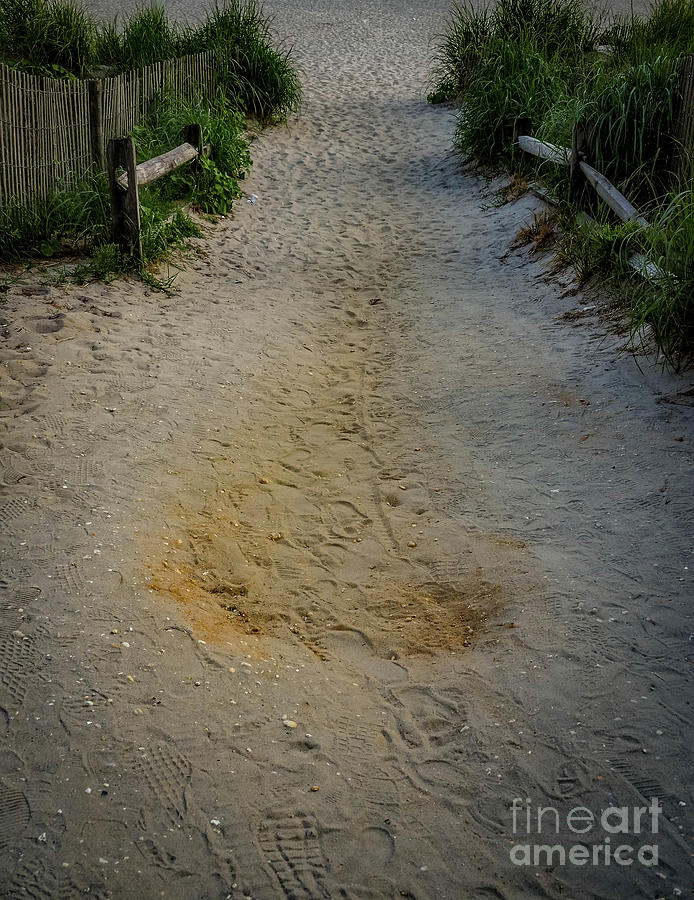 Road Photograph - Footprints in the Sand by Gina Matarazzo Road Photograph - Footprints in the Sand by Gina Matarazzo