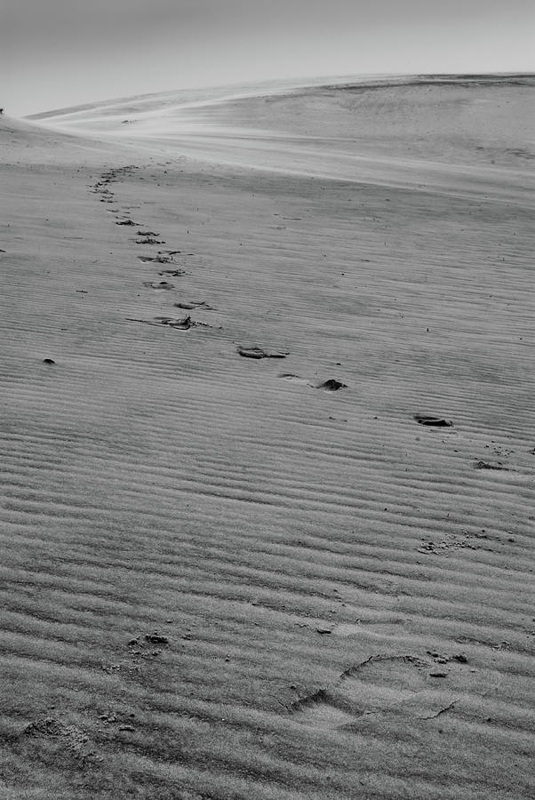 Footprints in the Sand Photograph by Melissa Southern