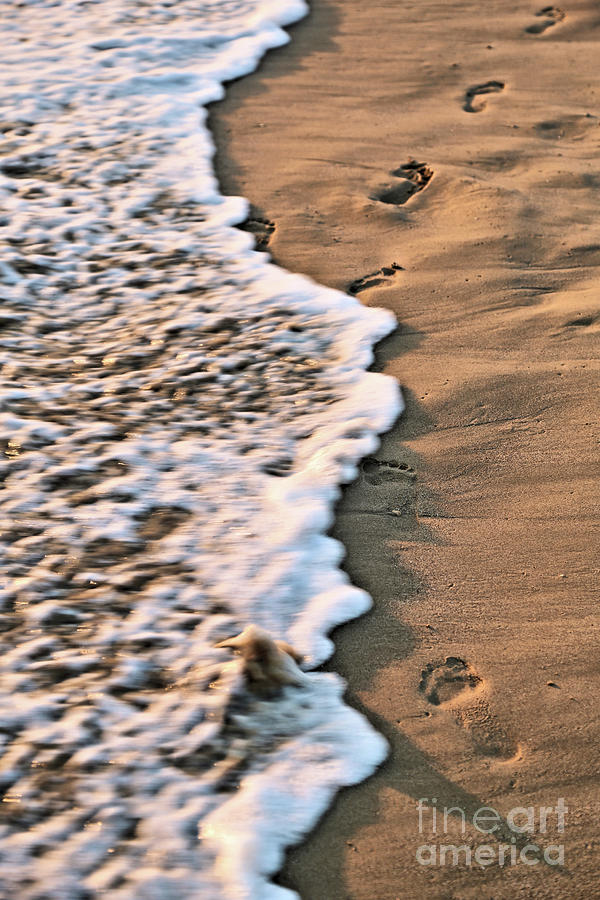 Footprints in the Sand Photograph by Vivian Krug Cotton