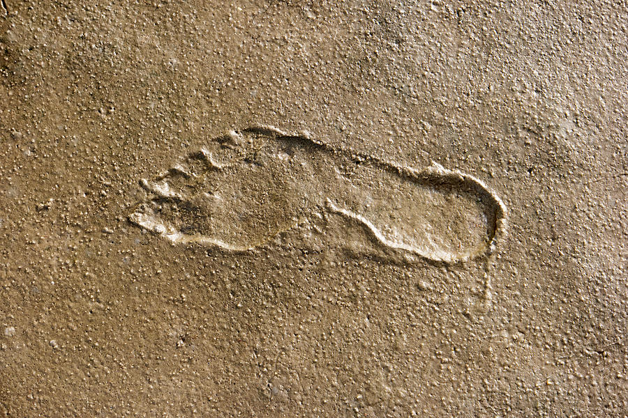 Footprints in the Wadden Sea Photograph by 3quarks