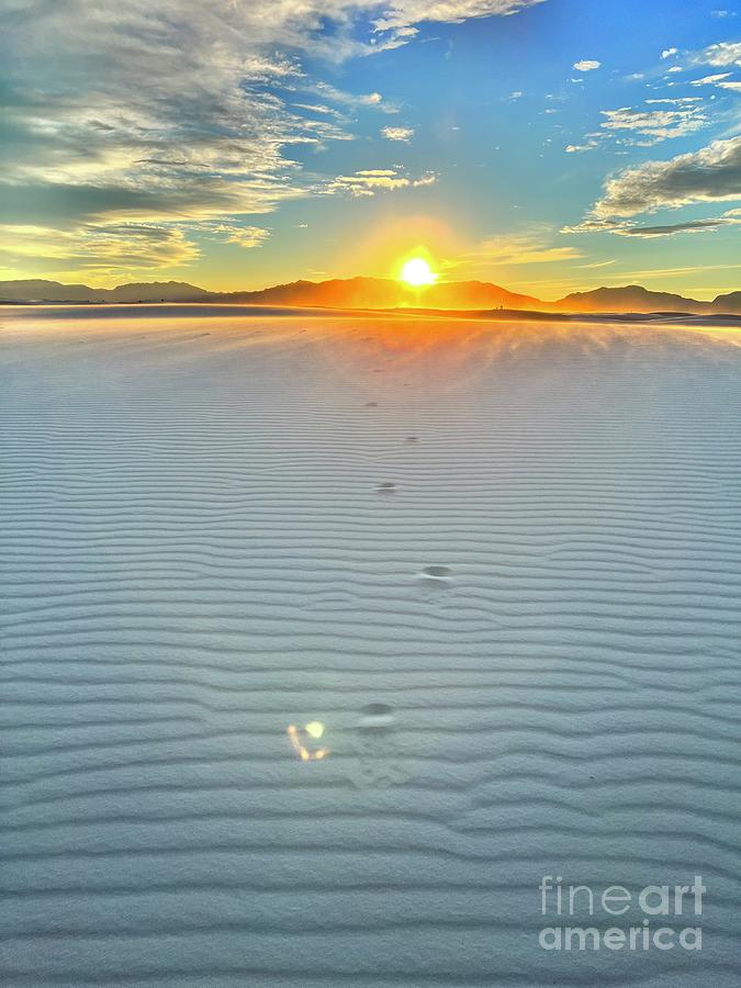 Footprints In The White Sand Photograph by Hanni Stoklosa