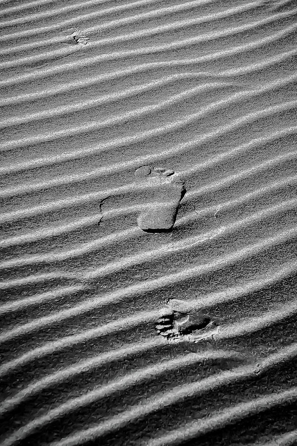 Footprints Photograph by Dr Janine Williams