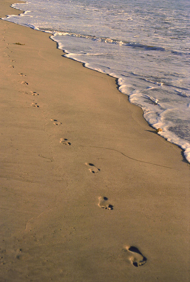 Footprints Left Behind Photograph by Suzanne Gaff - Fine Art America