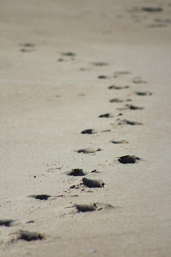 Footprints Photograph by Linda Sannuti