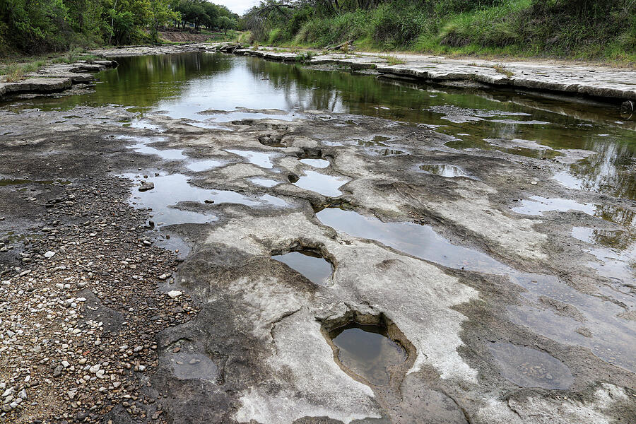 Footprints of Giants - Dinosaur Theropod Tracks Along Paluxy River ...