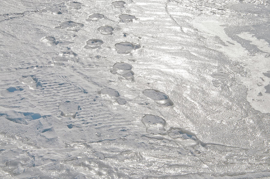 Footprints on frozen water Photograph by Lieve Snellings