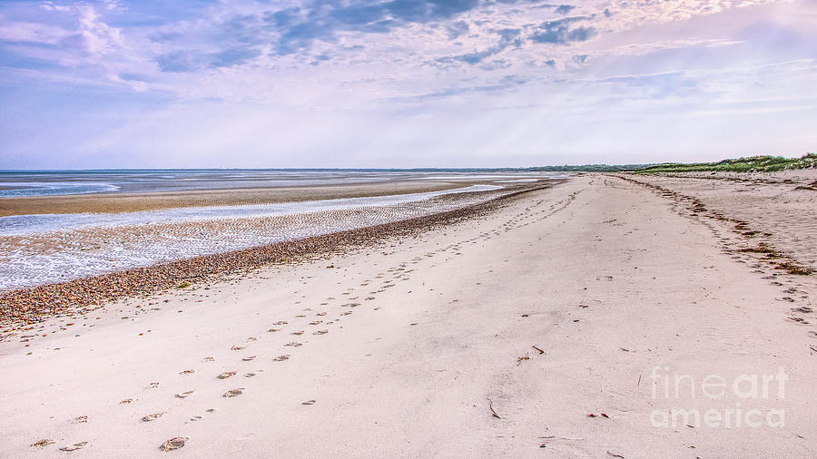 Footprints On The Beach Photograph