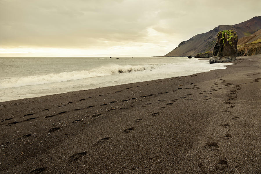 Footprints on the Hvalnes beach, Iceland Photograph by RicardMN Photography