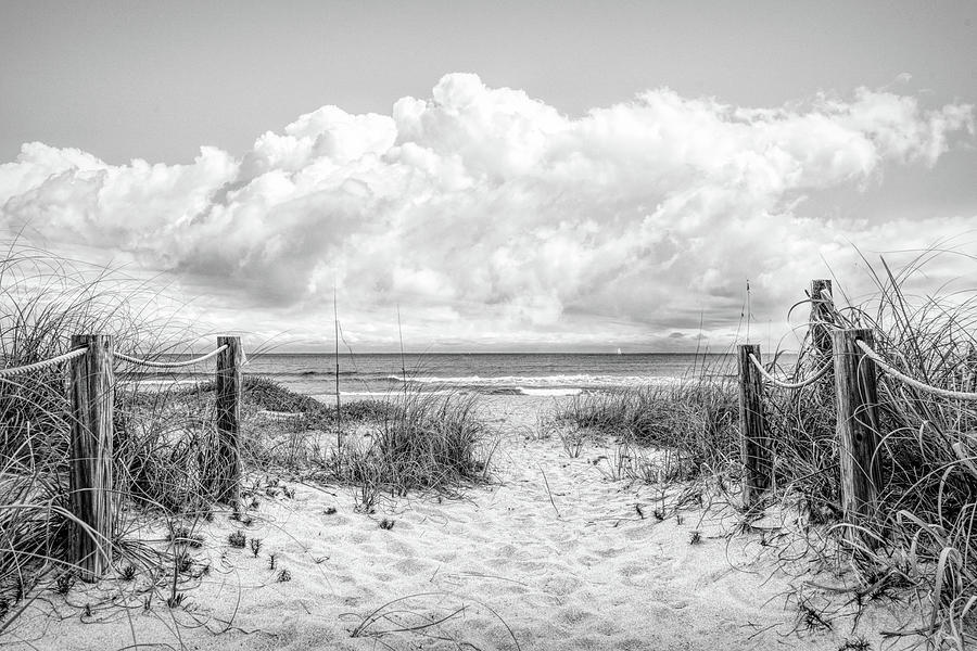 Footprints on the Sand Dunes in Black and White  Photograph by Debra and Dave Vanderlaan