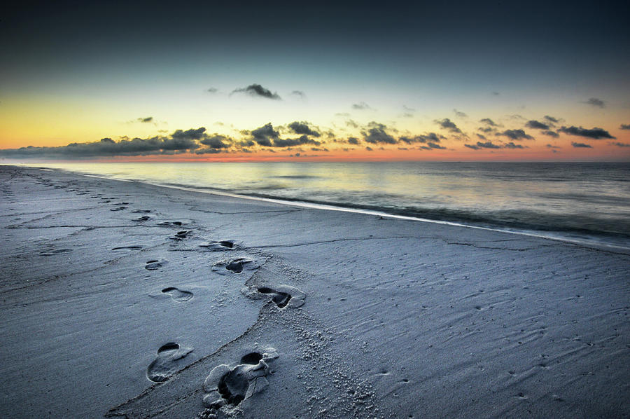 Footsteps at Dawn DSC_0417 Photograph by Michael Thomas