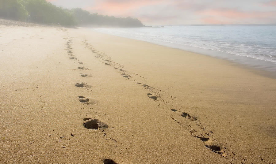 Footsteps on Early Morning Fog Photograph by Darryl Brooks