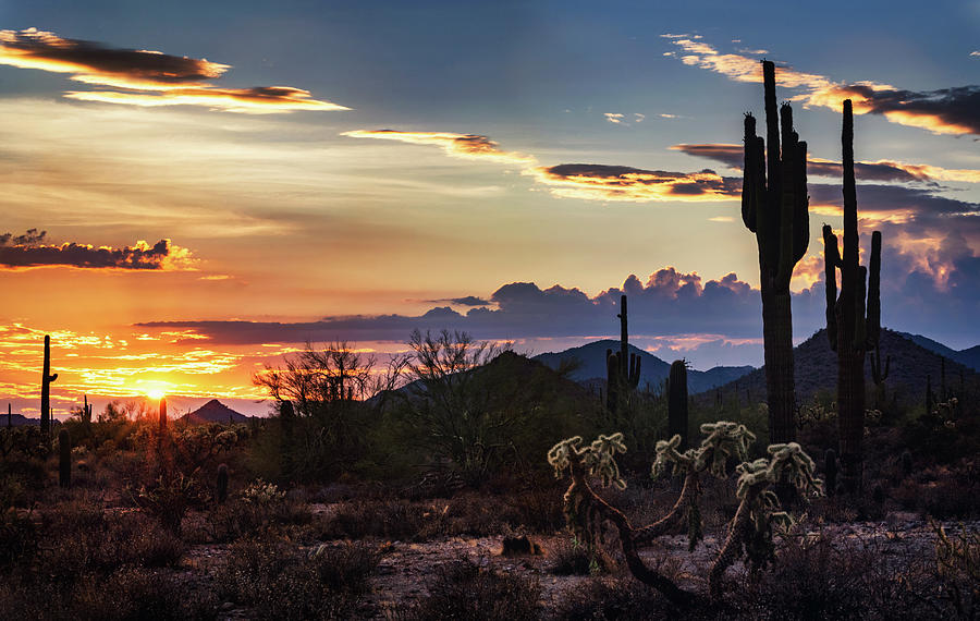 For The Love Of The Southwest Photograph by Saija Lehtonen - Fine Art ...