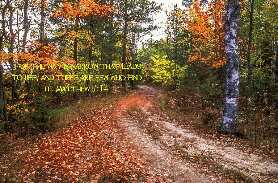 For the Way is Narrow Matthew 7-14 Photograph by James C Richardson ...