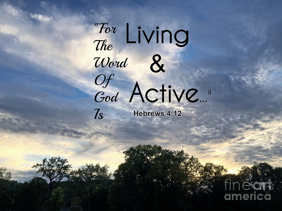 For The Word Of God Is Living And Active Photograph by Kathy M Krause