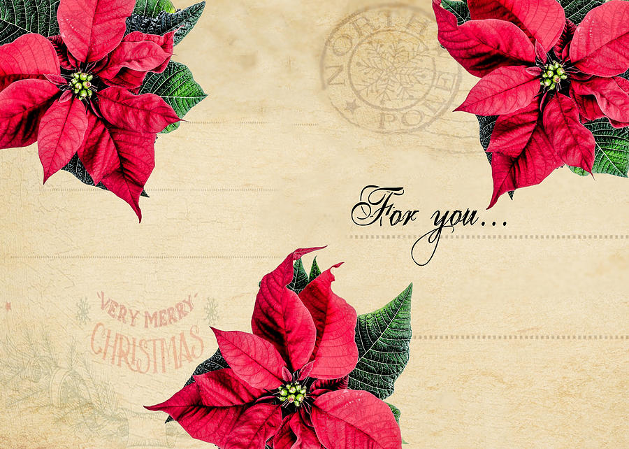 For You by Alison Frank For You by Alison Frank