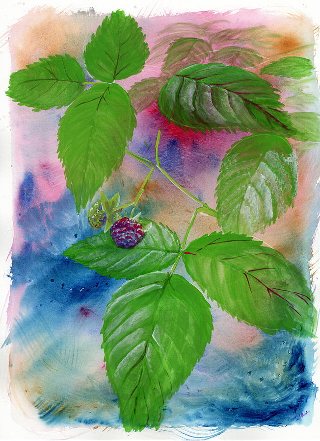 Forage. Raspberry Painting by Tammy Nara