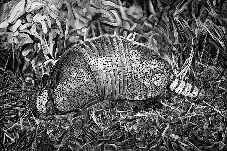 Foraging Armadillo BW Photograph by HH Photography of Florida