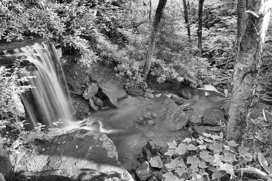 Forbes State Forest Cole Run Falls Black And White Photograph by Adam Jewell