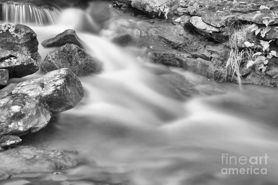 Forbes State Forest Rocky Stream Black And White Photograph by Adam Jewell