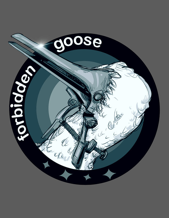 Forbidden Goose Drawing