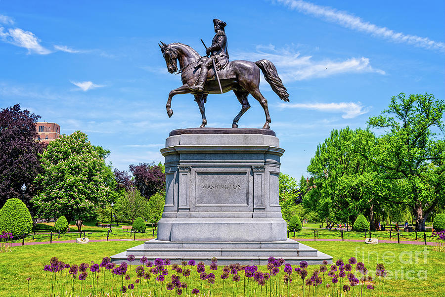 Force and Vigor Photograph by Charles Dobbs - Fine Art America