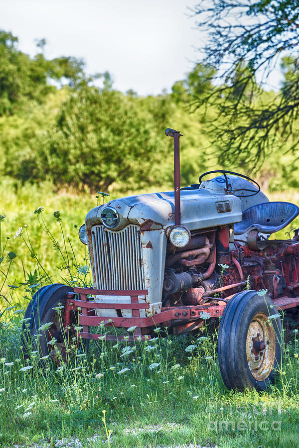Ford 800 Tractor Photograph by Jan Day