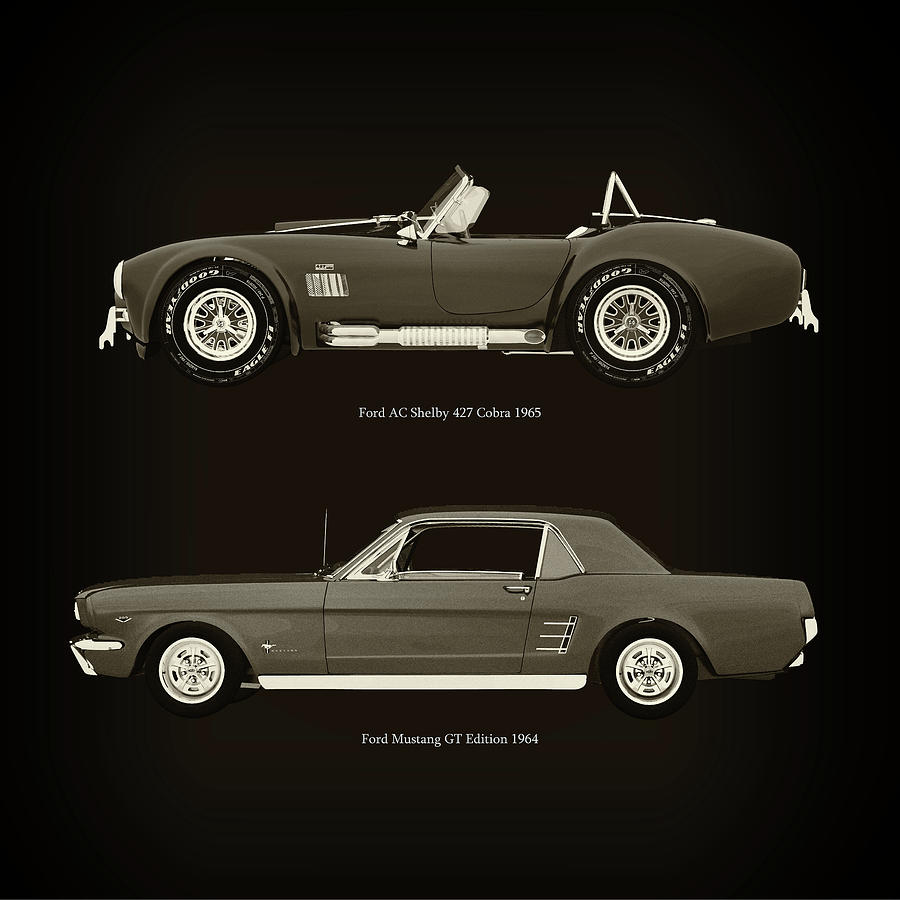 Ford AC Shelby 427 Cobra 1965 and Ford Mustang GT Edition 1964 Photograph by Jan Keteleer