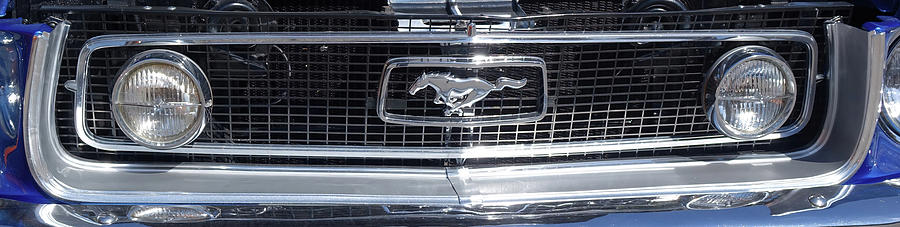 Ford Mustang Emblem 829 Photograph by Cathy Anderson